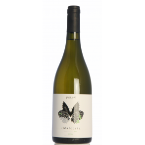 Javier Sanz - Saltamontes 2017